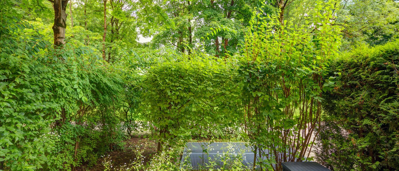 apartment München Haidhausen 01 view 6448