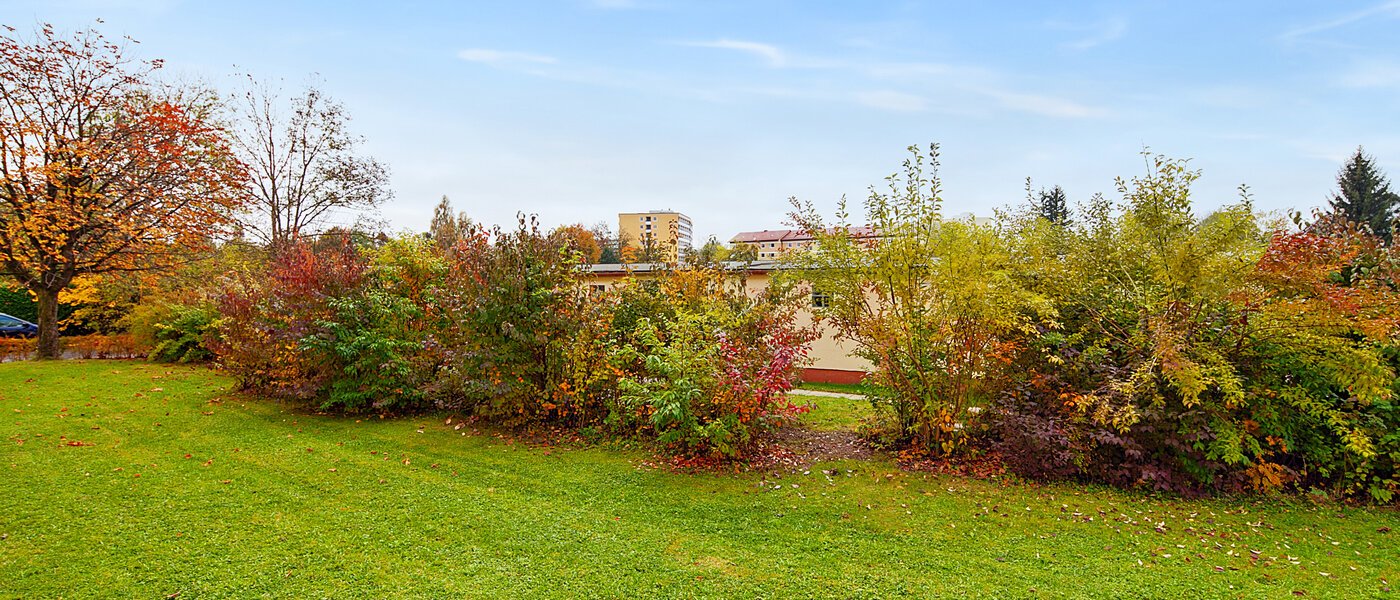 apartment Planegg 01 view 6451