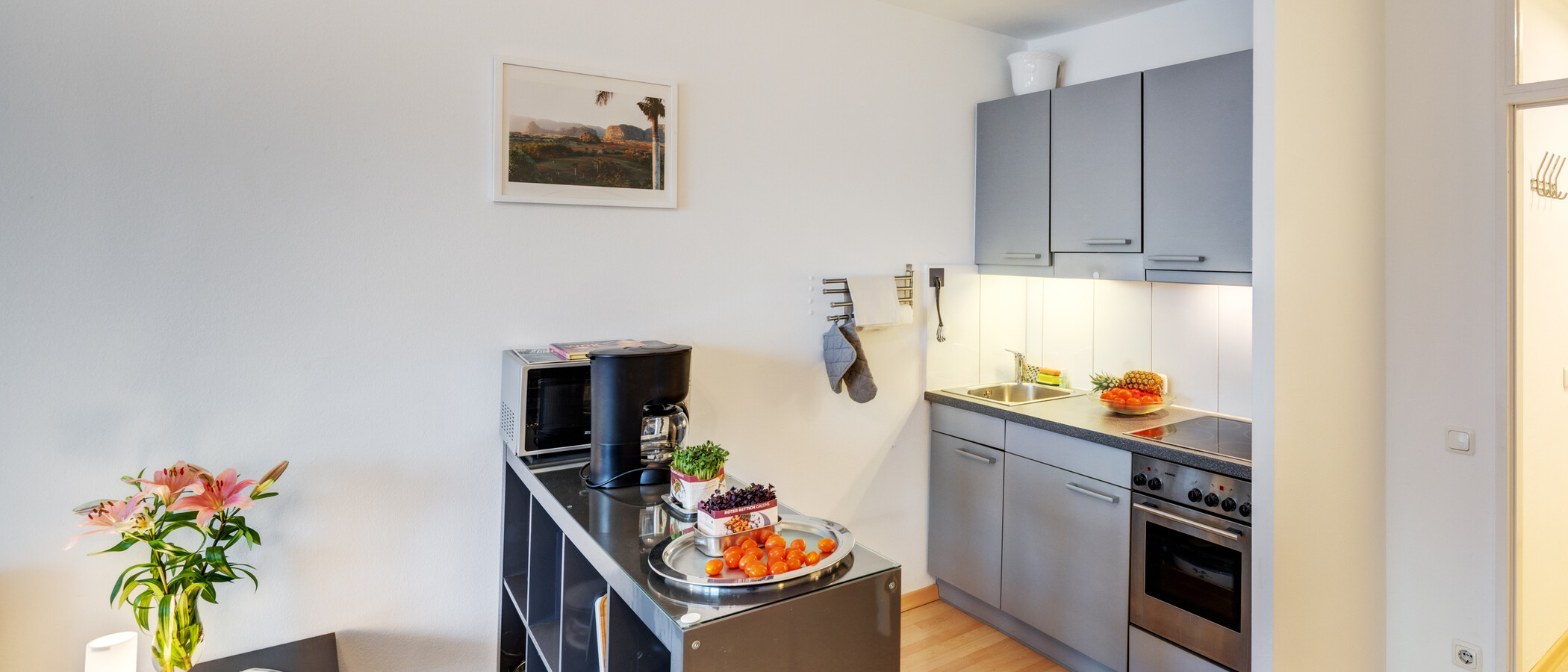 apartment München Schwabing-West 01 kitchen 6455