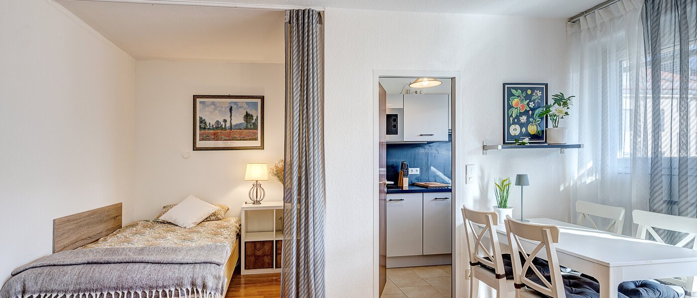 apartment München Maxvorstadt - Universitätsviertel 03 living area 6485