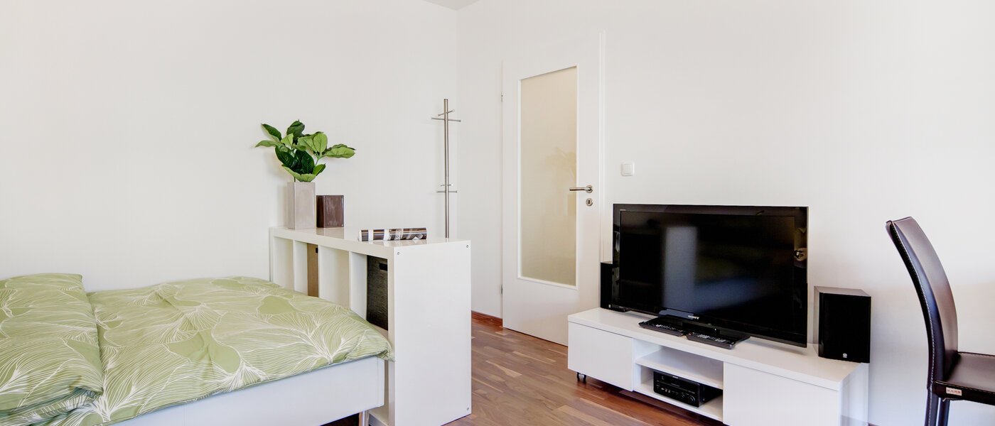 apartment München Schwabing-West (rund um den Hohenzollernplatz) 03 living room 6515