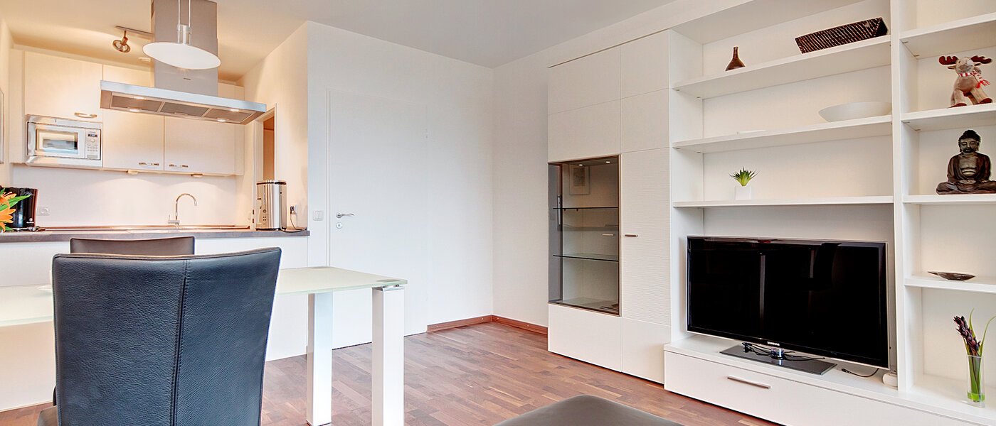 apartment München Haidhausen 03 living room 6531