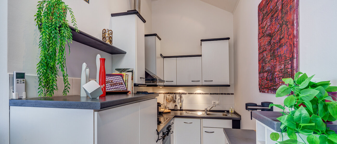 attic apartment München Giesing 01 kitchen 6583