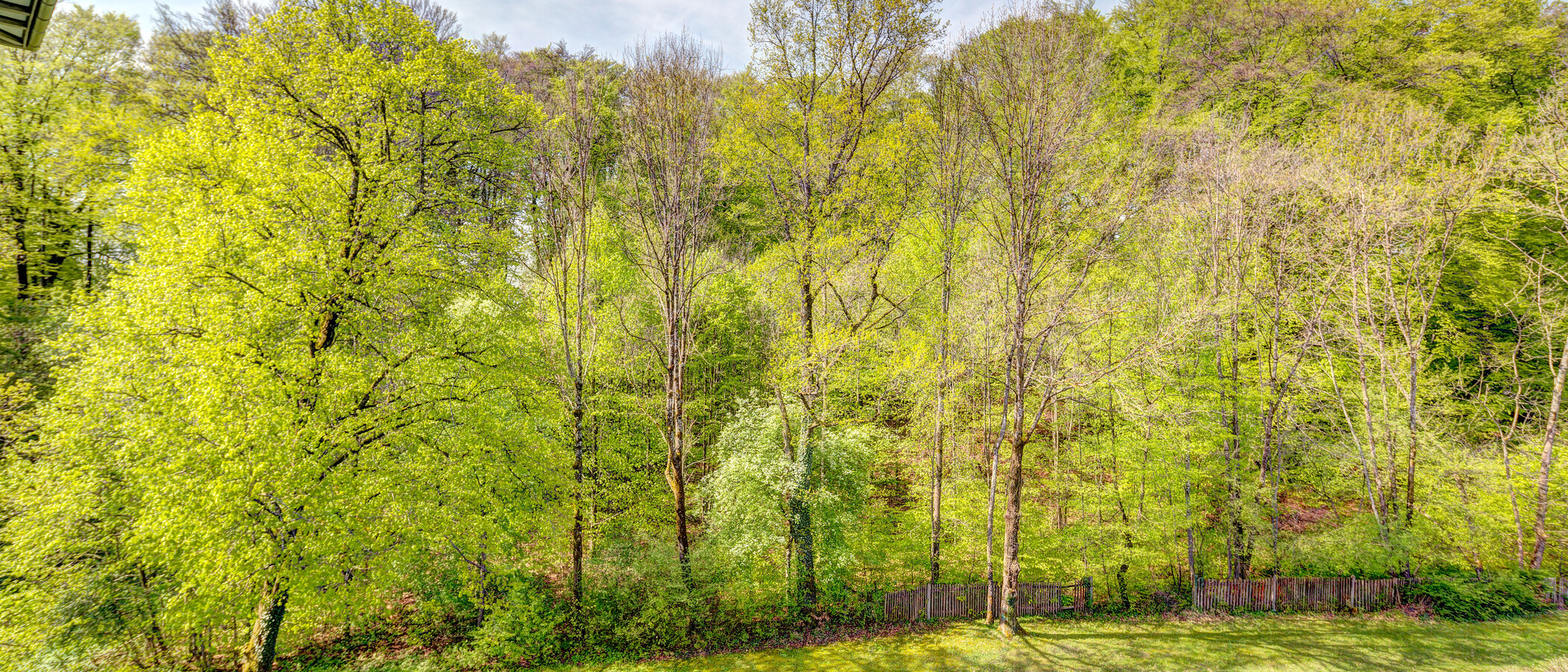 apartment Starnberg 01 view 6634