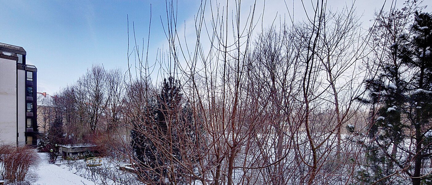 apartment München Haidhausen 01 view 6637