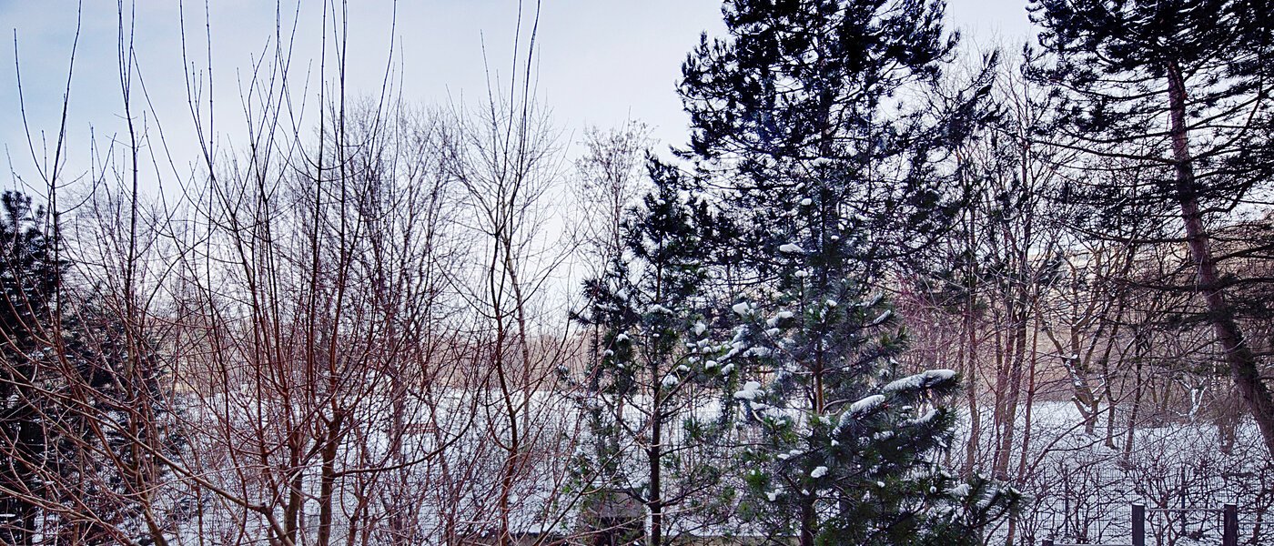 apartment München Haidhausen 02 view 6637