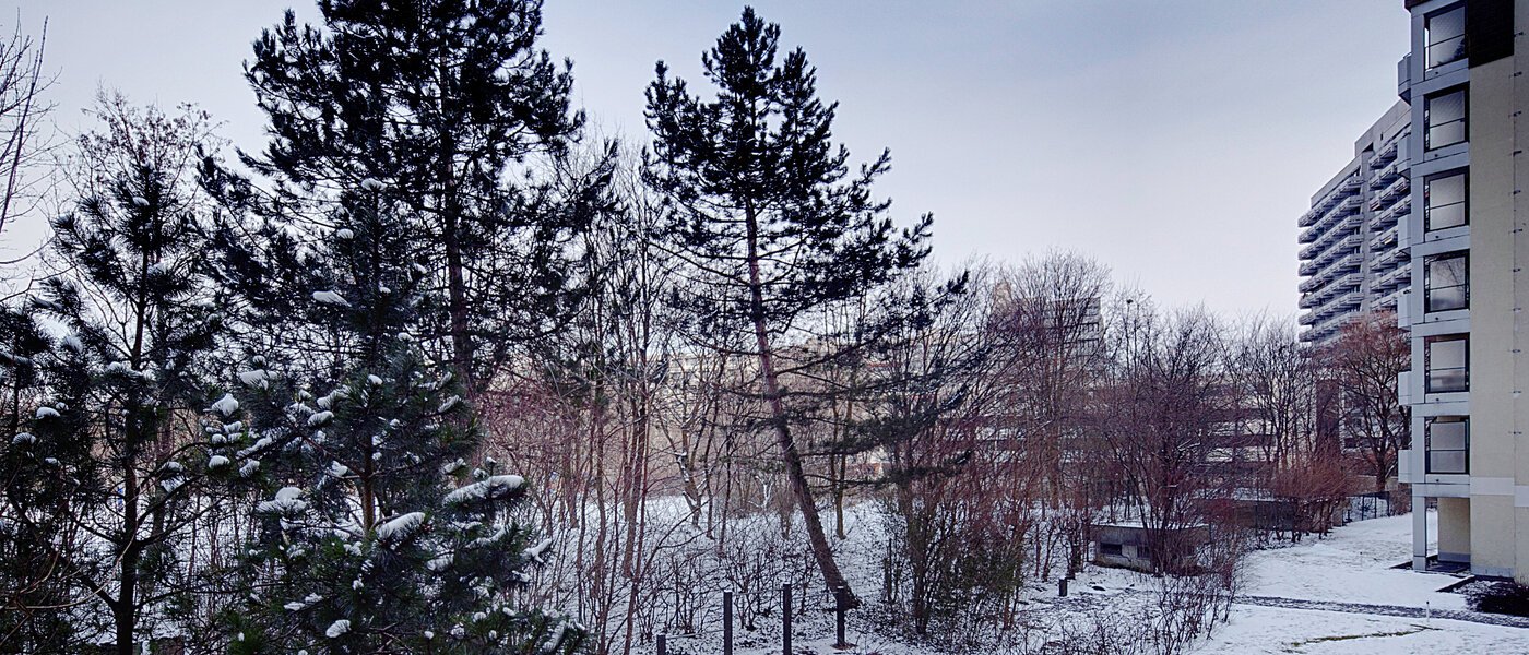 apartment München Haidhausen 03 view 6637