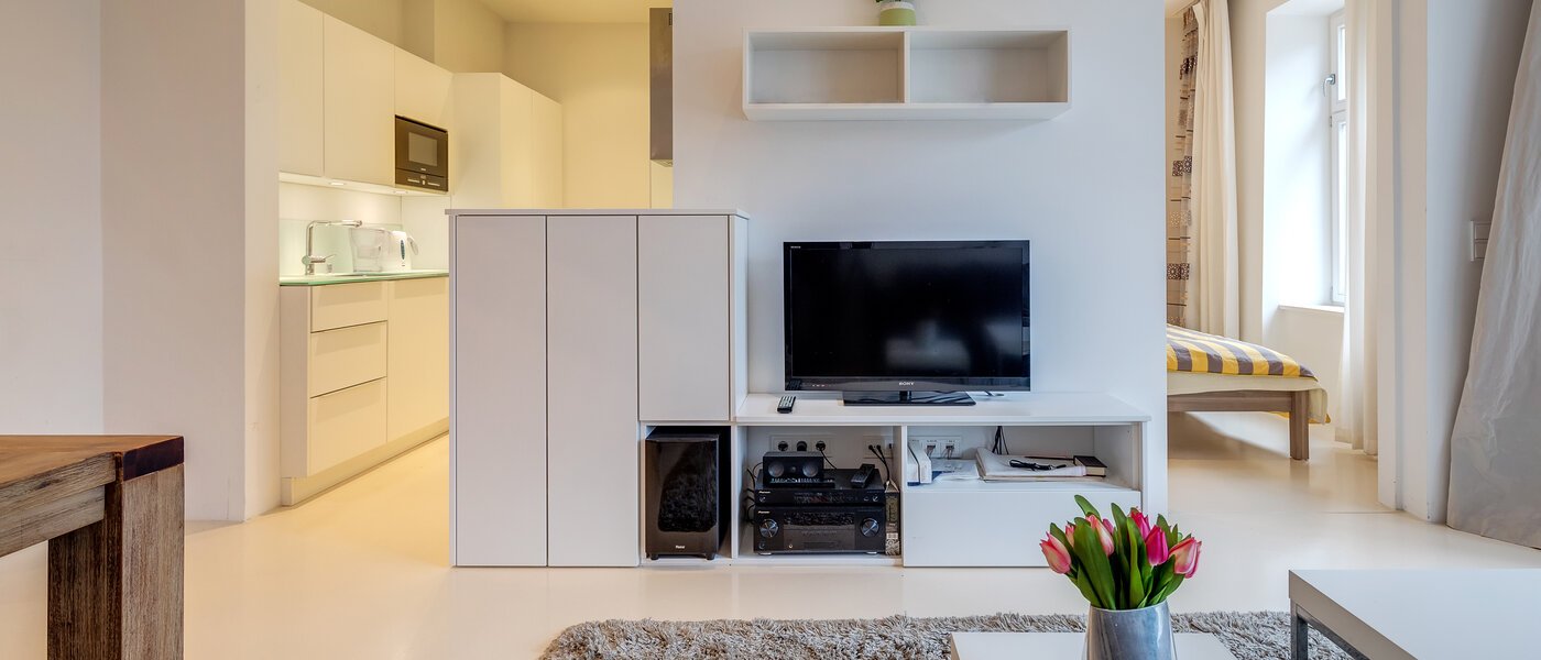 apartment München Haidhausen 04 living area 6640