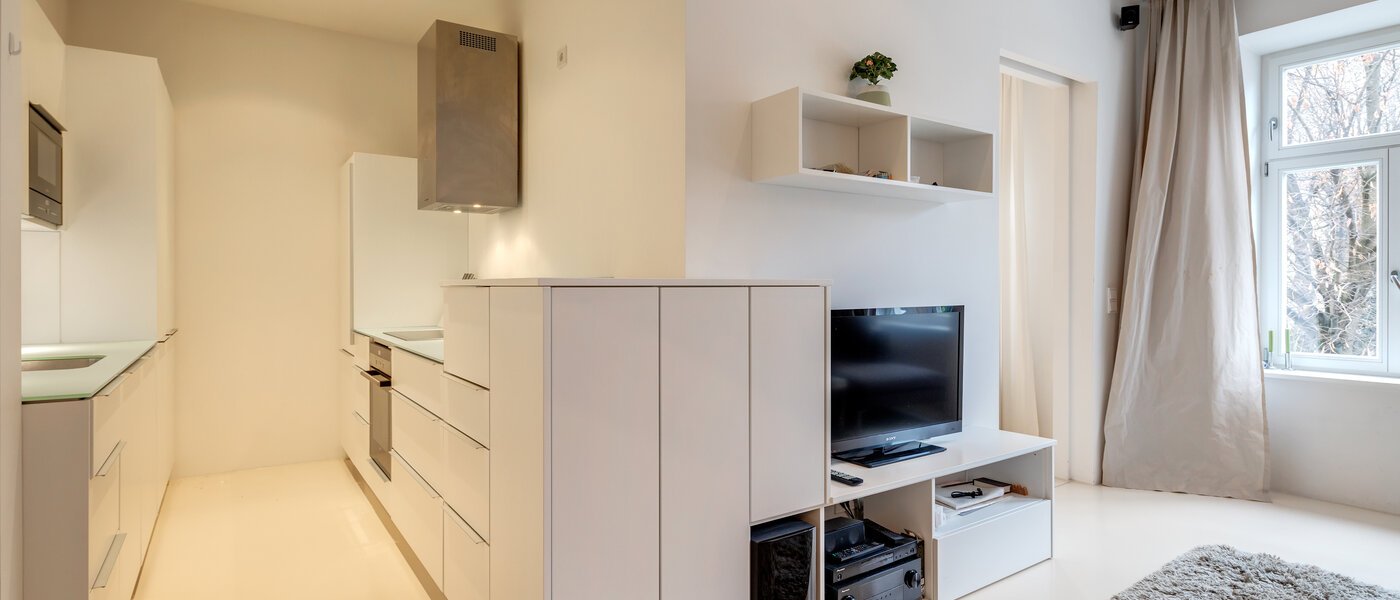 apartment München Haidhausen 05 living area 6640