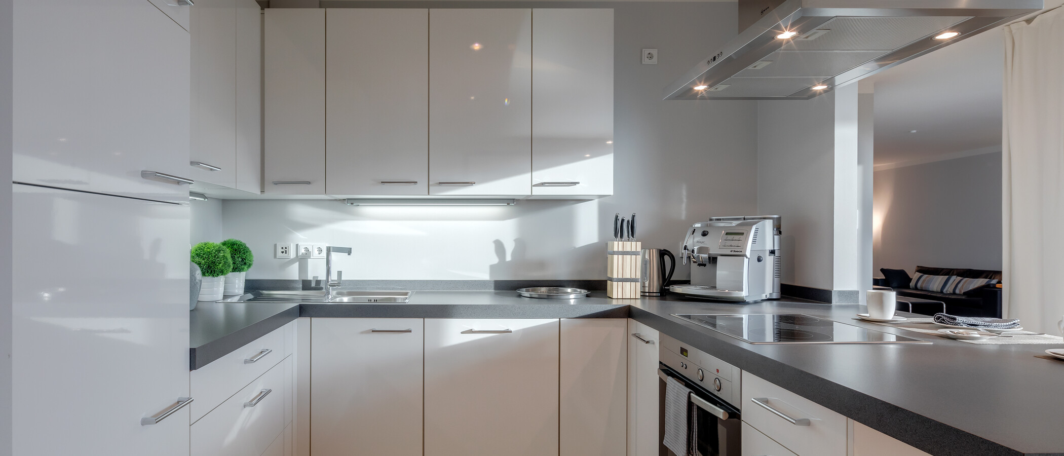 apartment München Maxvorstadt 01 kitchen 6679