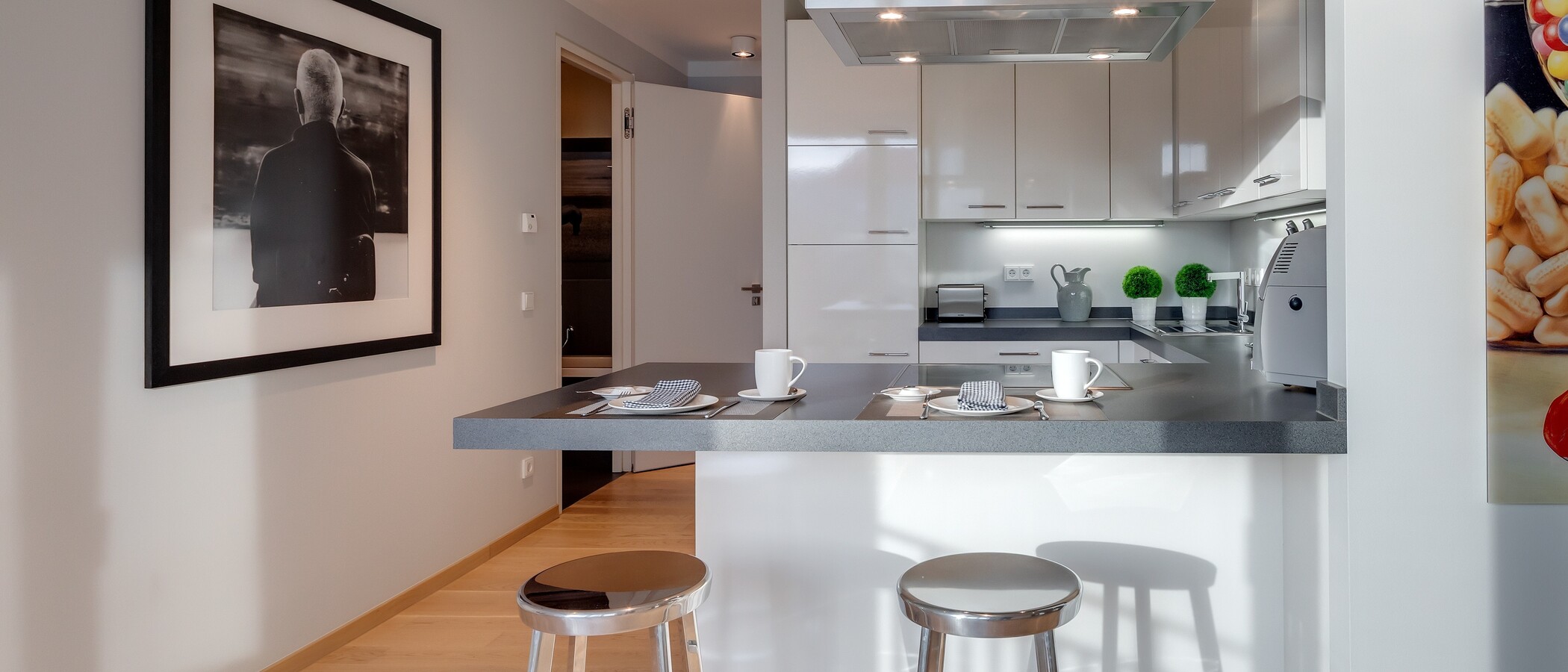 apartment München Maxvorstadt 03 kitchen 6679