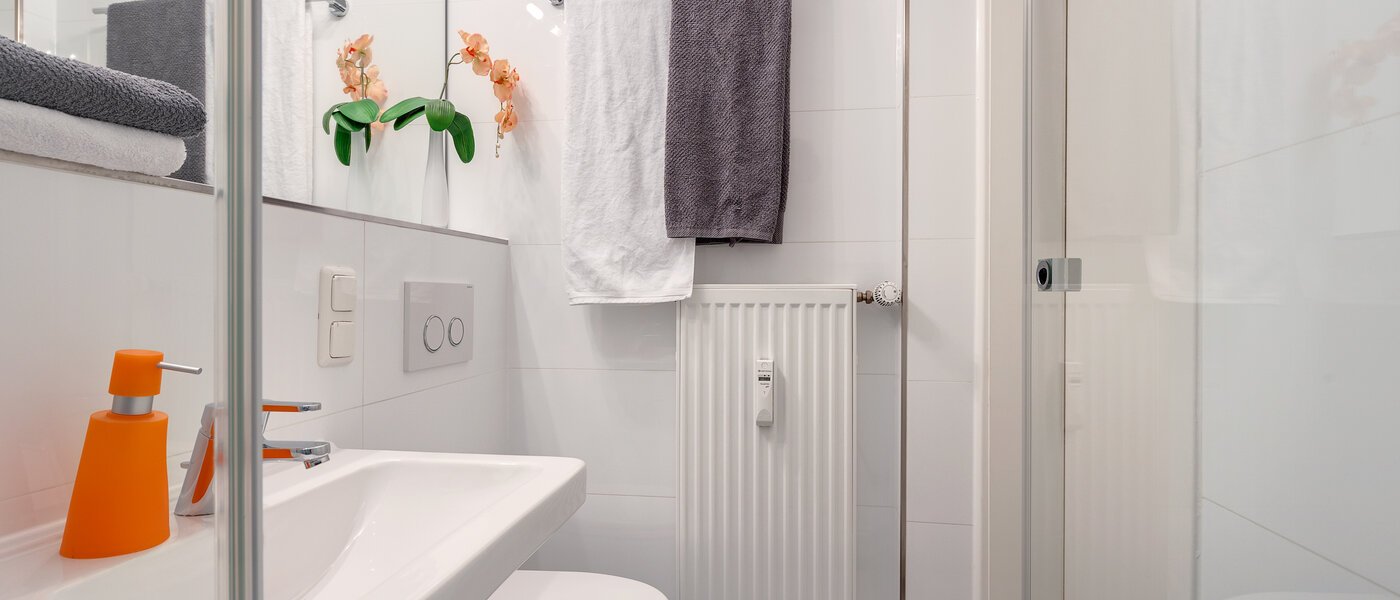 apartment München Bogenhausen 04 bathroom 6716