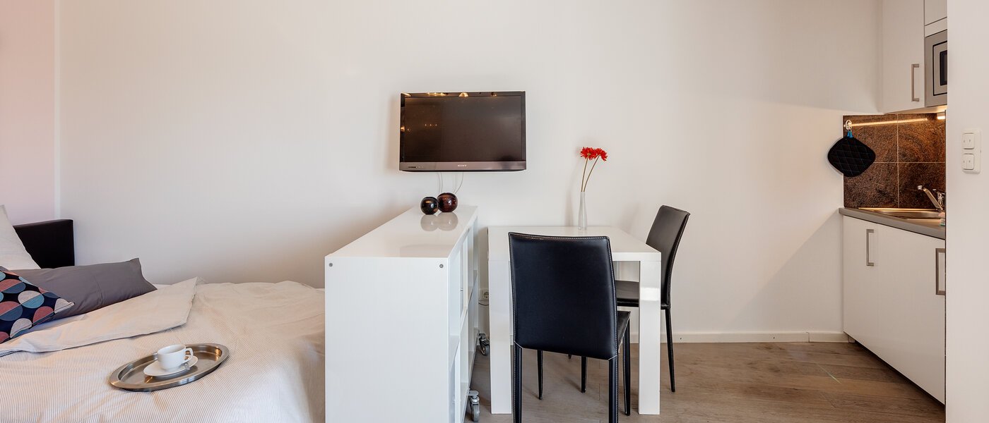 apartment München Bogenhausen 03 living area 6716