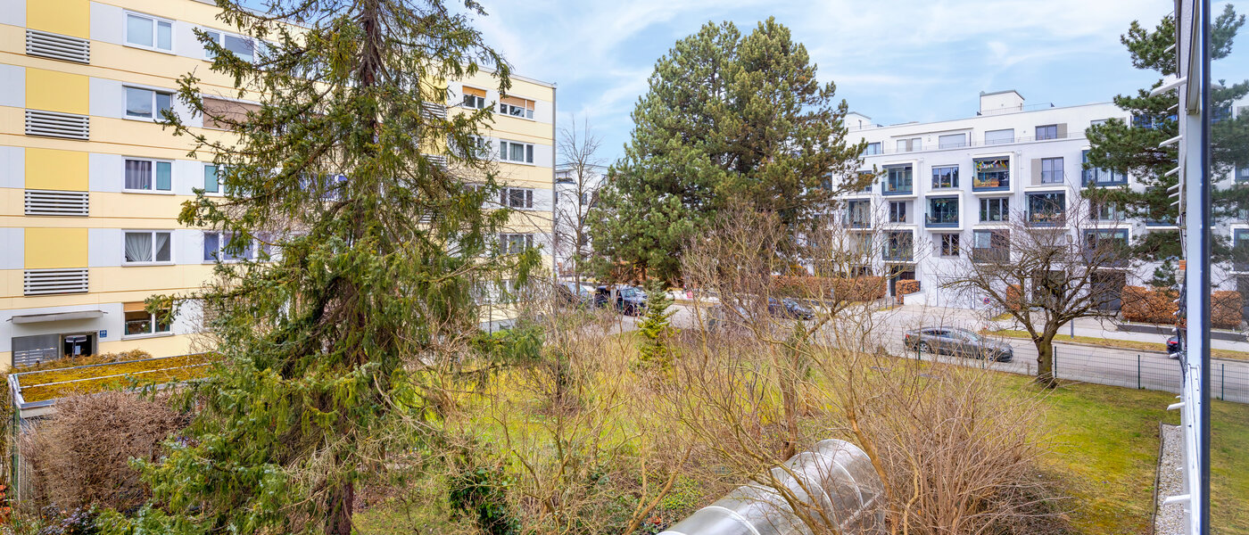 apartment München Obergiesing 02 view 6771