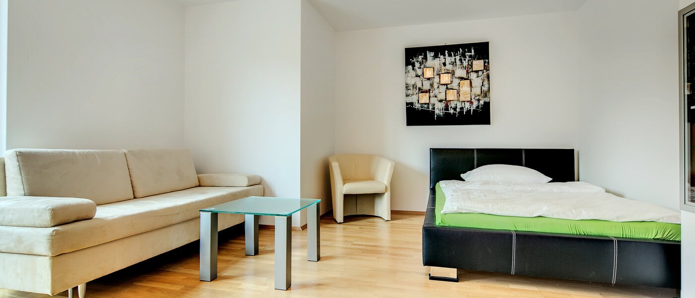 apartment München Sendling 02 living room 6876