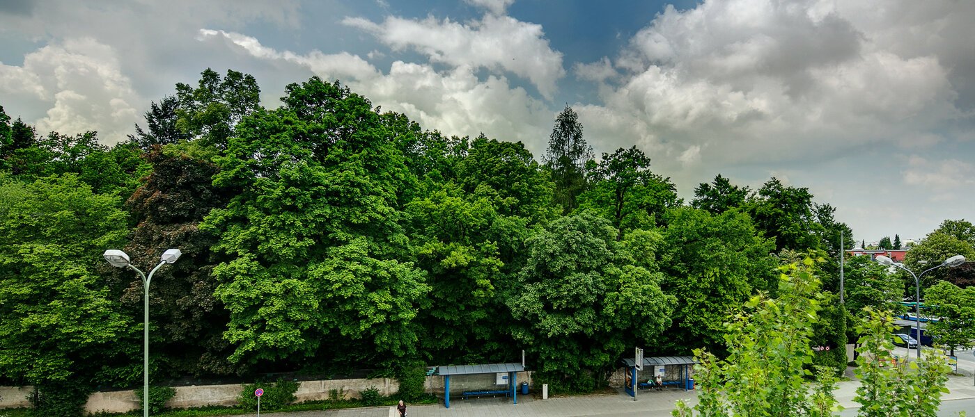 apartment München Sendling 02 view 6876