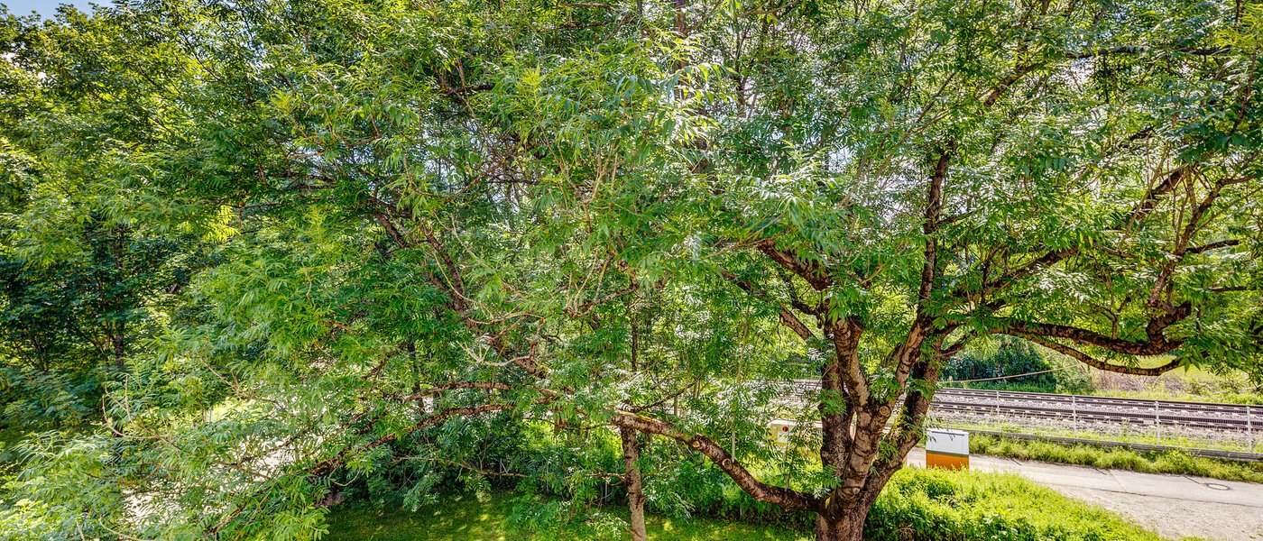 roof terrace apartment München Fasanerie 02 view 6919