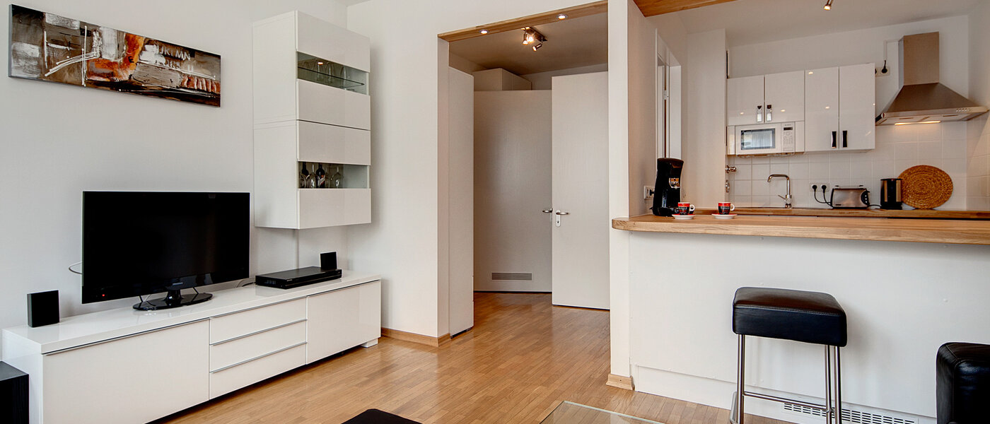 apartment München Nymphenburg 03 living room 6955