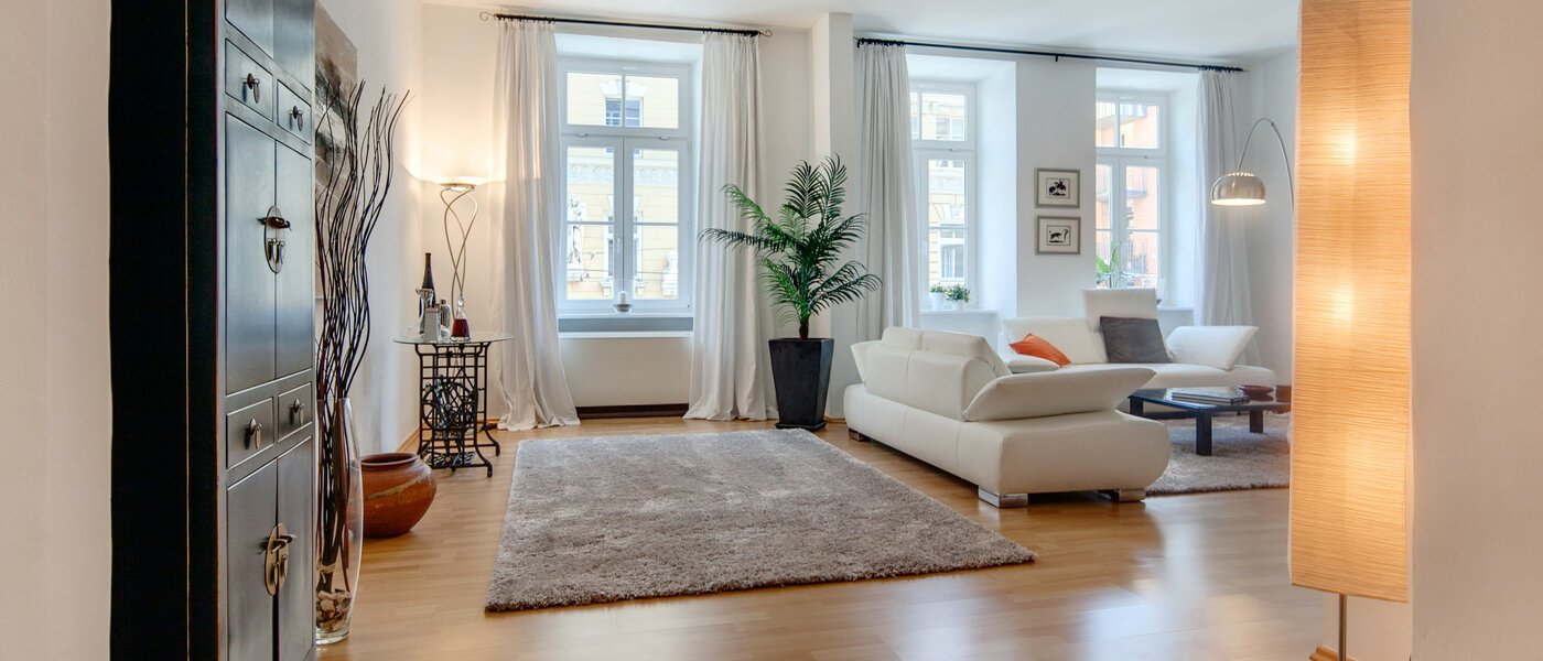 apartment München Glockenbachviertel 08 living room 6991