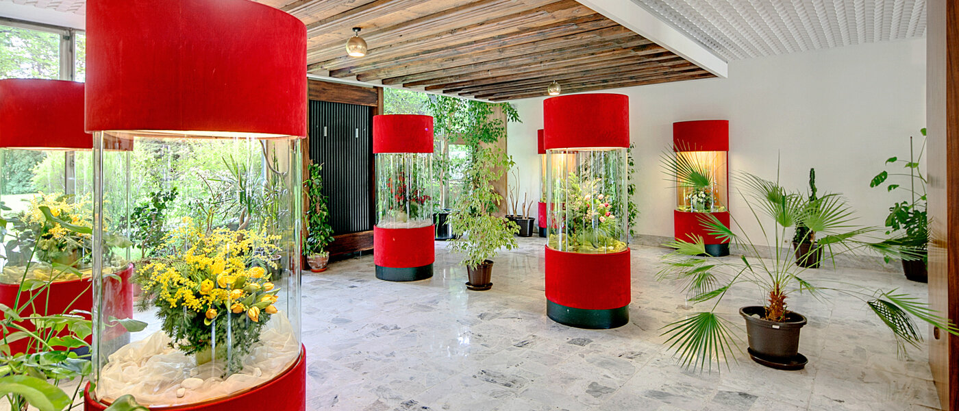 apartment München Solln 05 special 6993