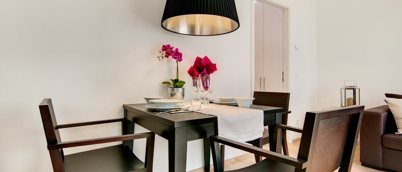 apartment München Maxvorstadt 04 living room 7036