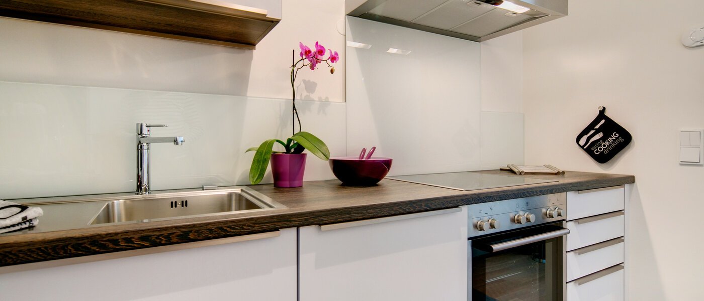 apartment München Maxvorstadt 04 kitchen 7036