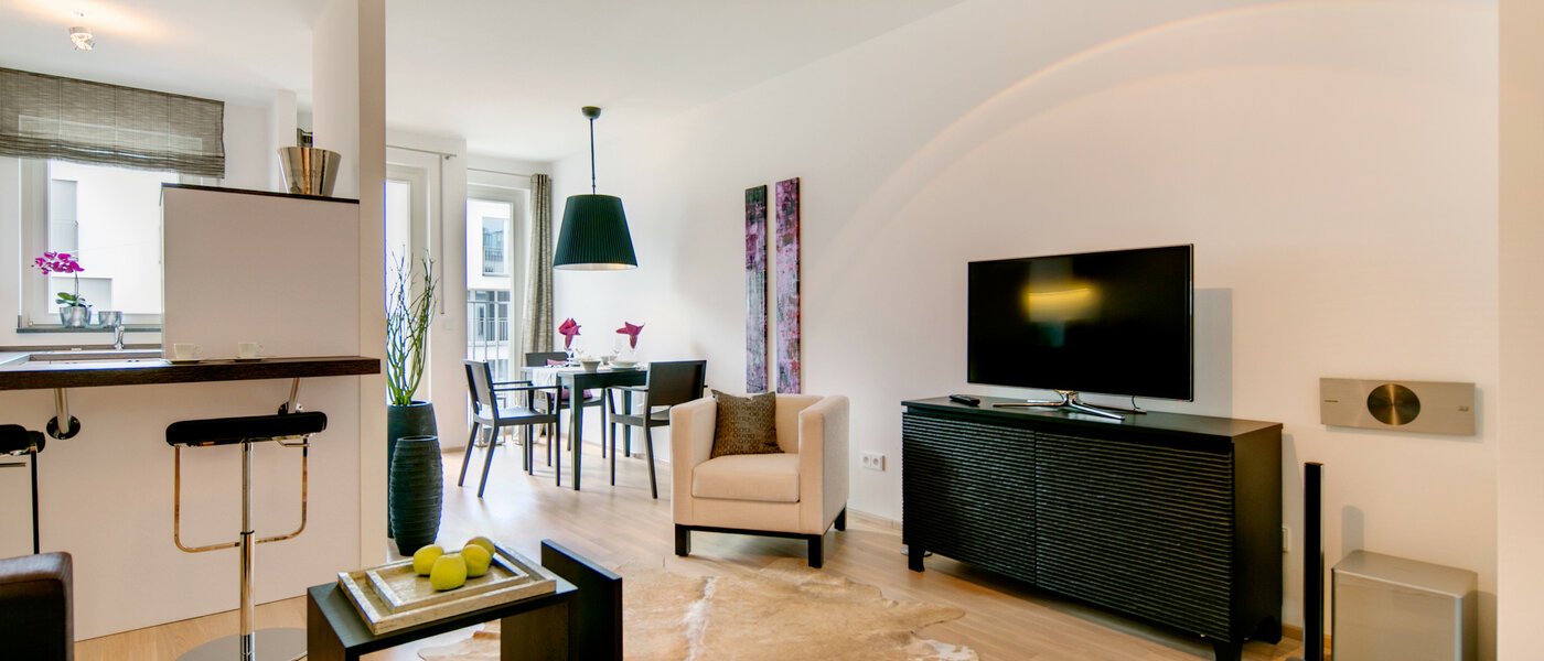 apartment München Maxvorstadt 01 living room 7037