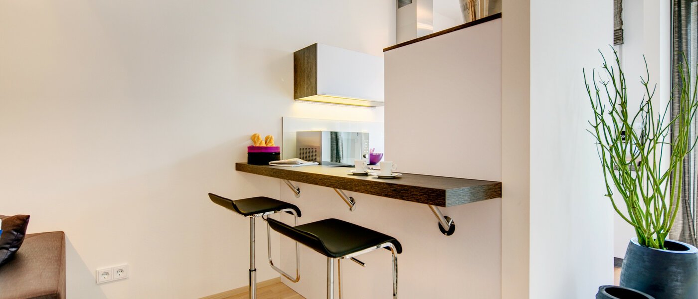 apartment München Maxvorstadt 04 living room 7037