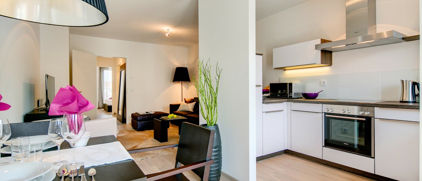 apartment München Maxvorstadt 05 kitchen 7037