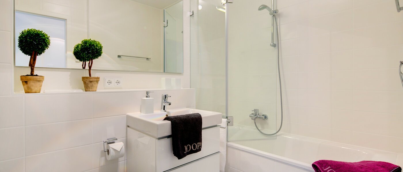 apartment München Maxvorstadt 01 bathroom 7037