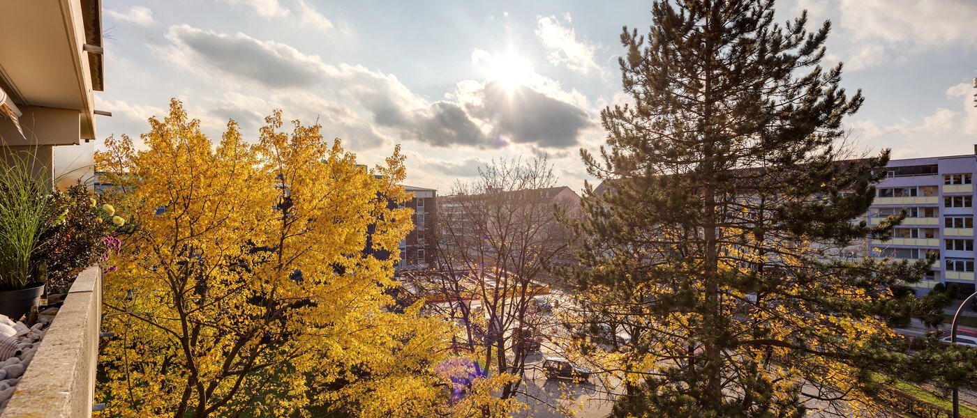 apartment München Schwabing 02 view 7050