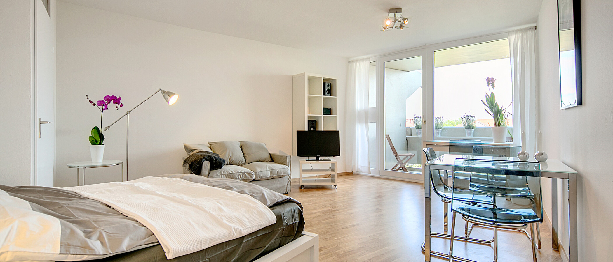 apartment München Schwabing 04 living room 7069