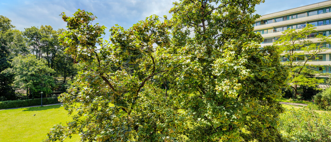 apartment München Mittersendling 02 view 7100