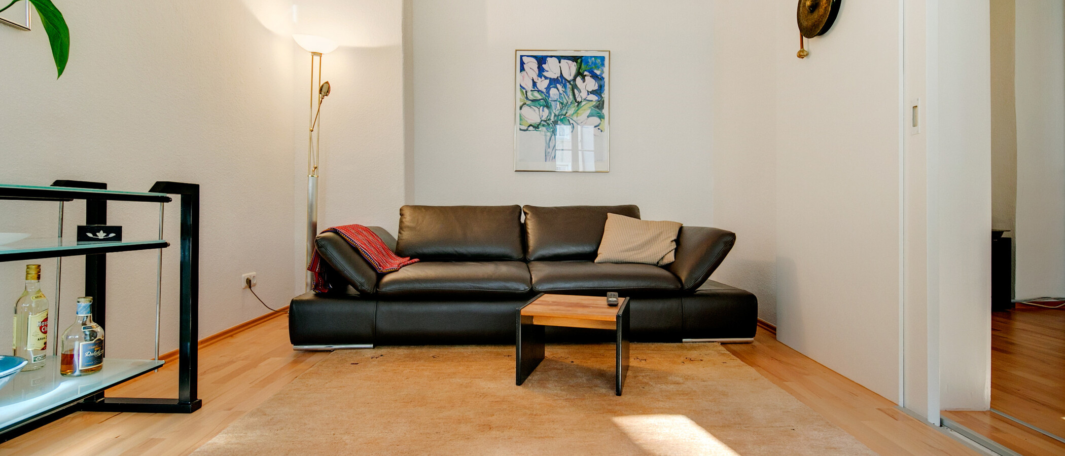 apartment München Haidhausen 01 living room 7146