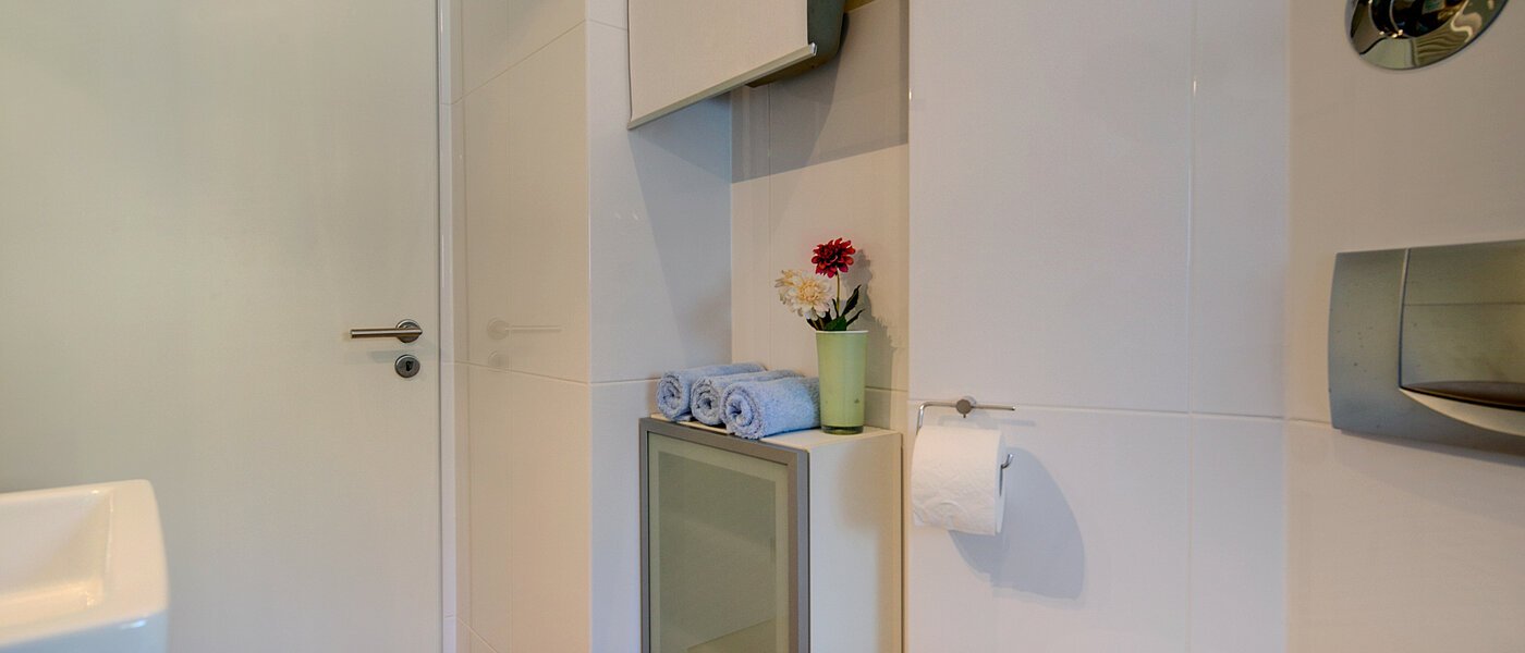 attic apartment München Bogenhausen 04 bathroom 7185