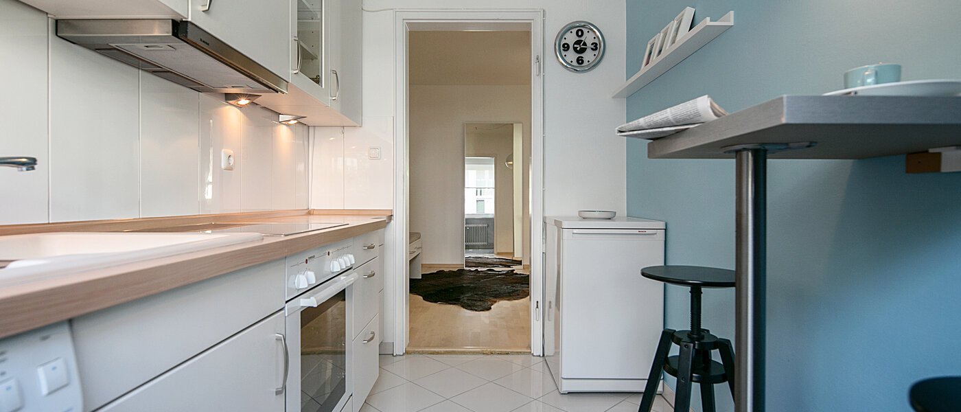 apartment München Obergiesing 04 kitchen 7213