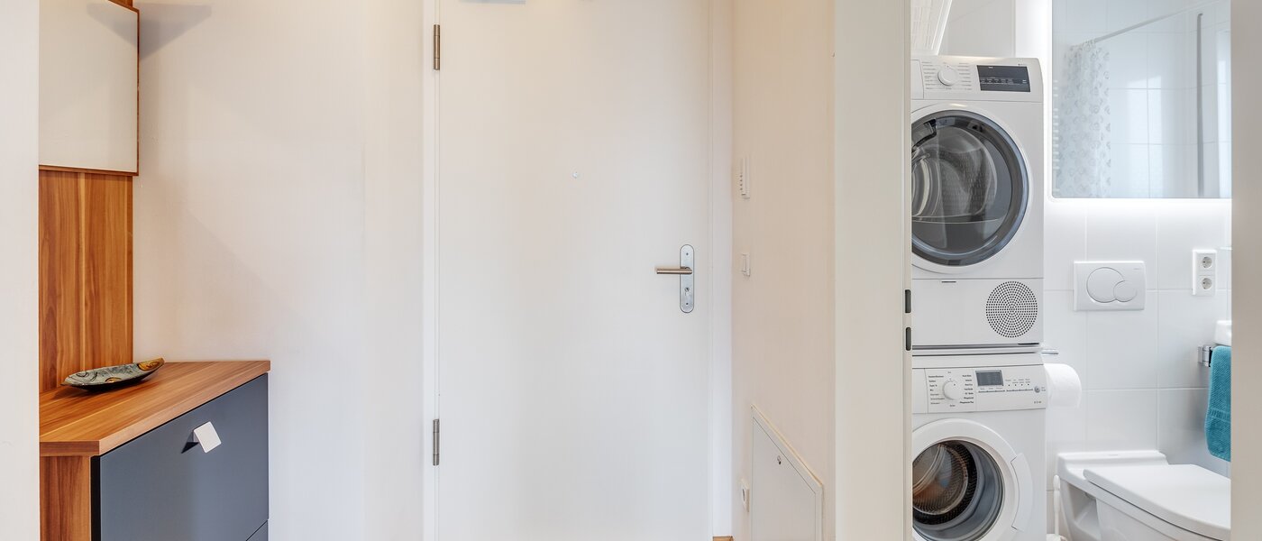 roof terrace apartment München Schwabing-West 01 hall 7226