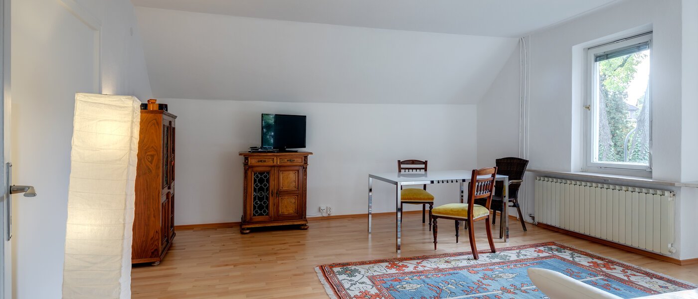 apartment München Pasing 04 living room 7263