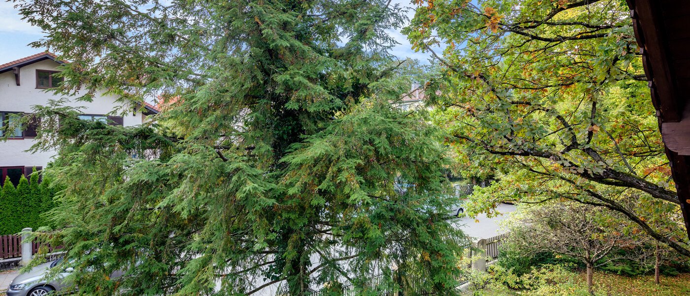 apartment München Pasing 03 view 7263