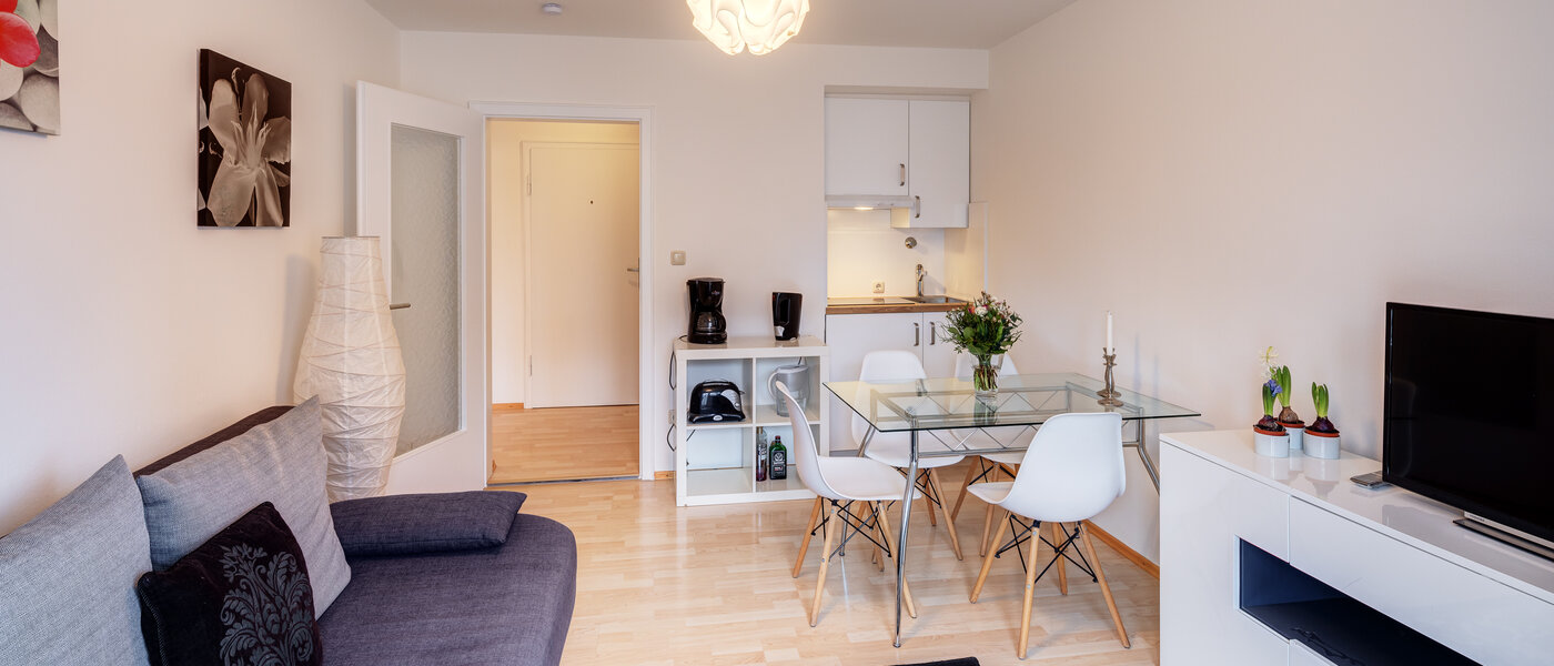 apartment München Untergiesing 03 living area 7302