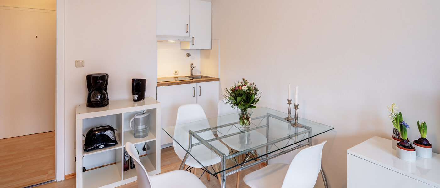 apartment München Untergiesing 04 living area 7302