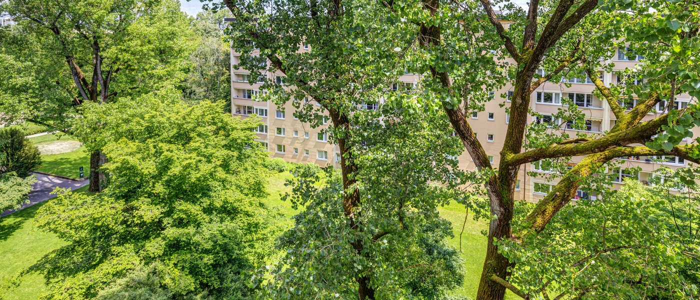 apartment München Bogenhausen 03 view 7308