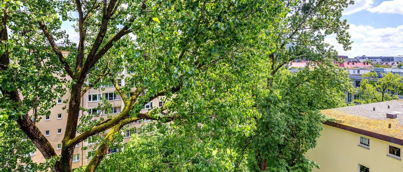 apartment München Bogenhausen 04 view 7308