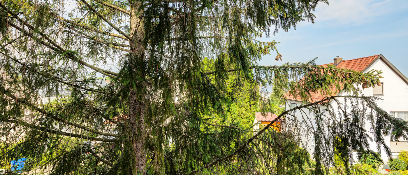 apartment München Feldmoching 01 view 7365