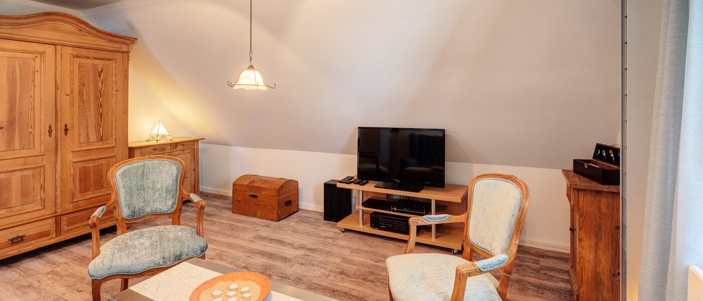 apartment München Feldmoching 04 living room 7365