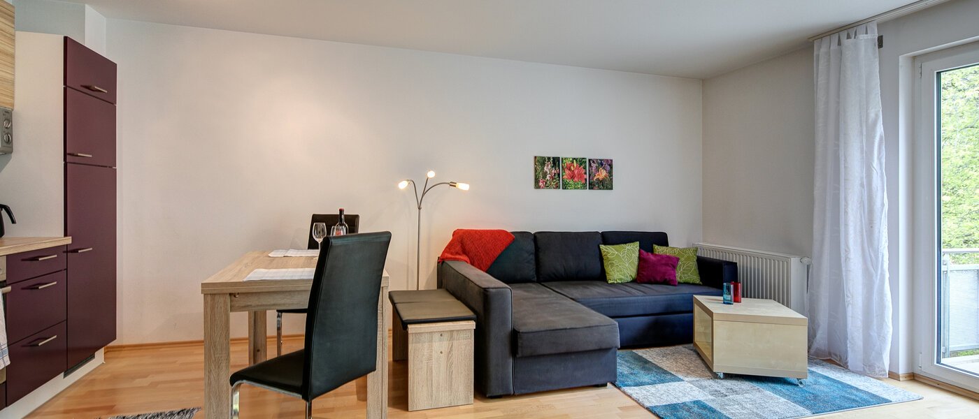 apartment München Untermenzing 01 living room 7394