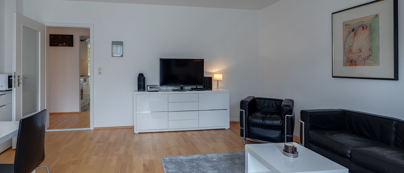 apartment München Thalkirchen 03 living area 7395