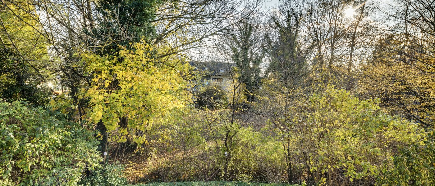 maisonette München Fasanerie 01 view 7475