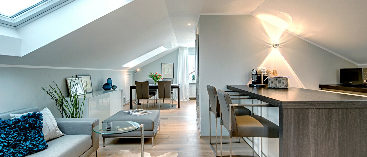 attic apartment München Trudering 01 living room 7503