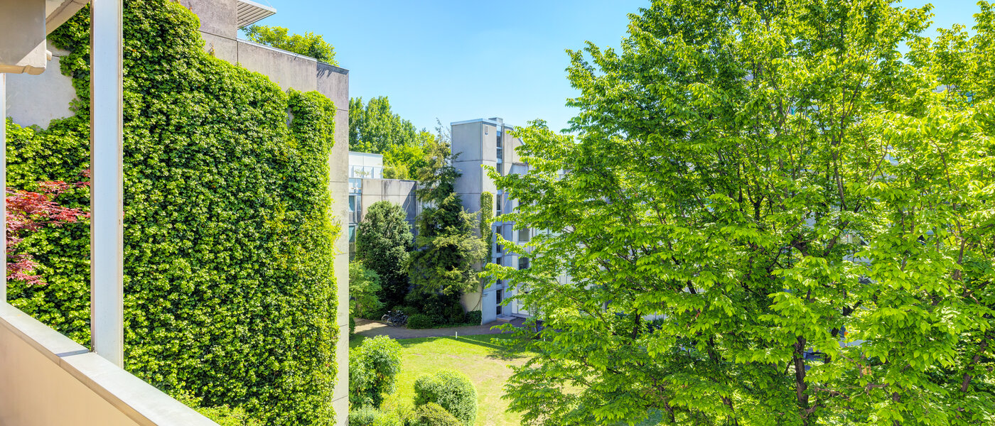 apartment München Schwabing-Nord (zw. Leopoldstraße & Englischen Garten) 01 view 7670
